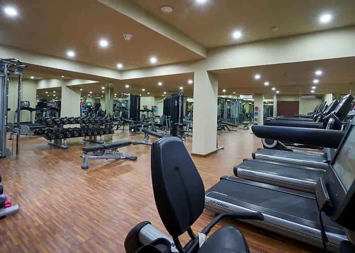 Aparthotel The Sintesa 5*